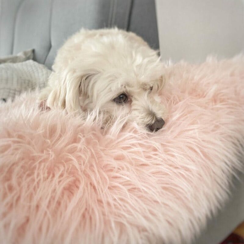 Astra „Mia 170” Teppich in rosa Wohnbeispiel