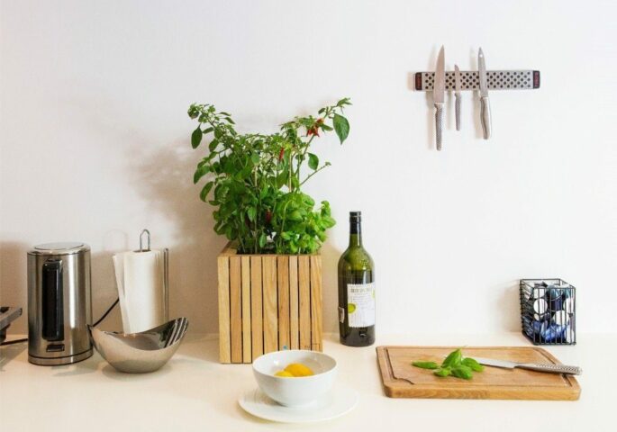 Die grüne Küche: 3 Tipps für Indoor-Gemüse- und Kräuterzucht