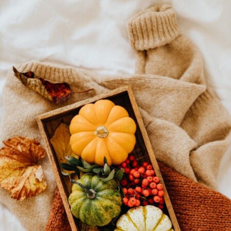 Saisonales für den Herbst: So bringen Sie Gemütlichkeit ins Zuhause!